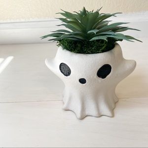 Ghost succulent planter